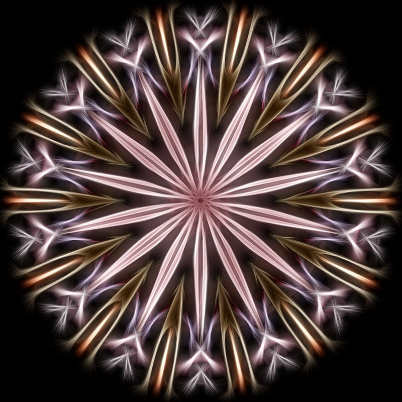 EXPANSION OF BEING IV