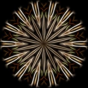 EXPANSION OF BEING VI