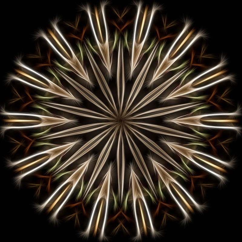 EXPANSION OF BEING VI