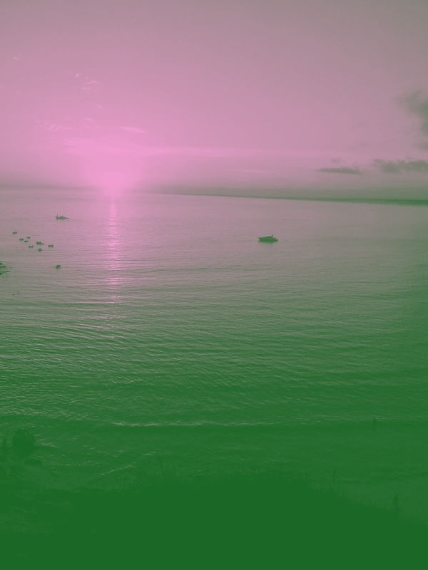 QUANDO O ROSA SE ENCONTRA COM O VERDE II