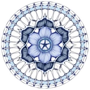 MAGNETIC FLOWER VI