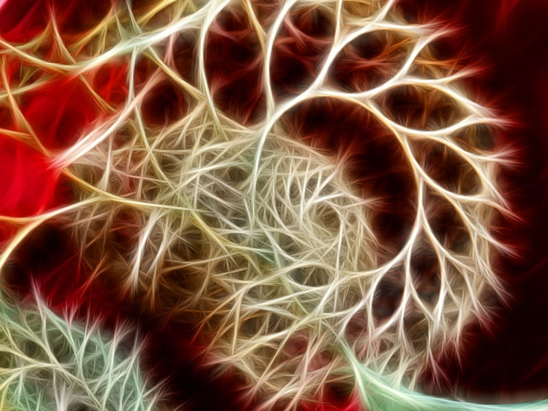 NON REAL FORMS LXII