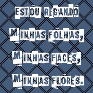 ESTOU REGANDO...