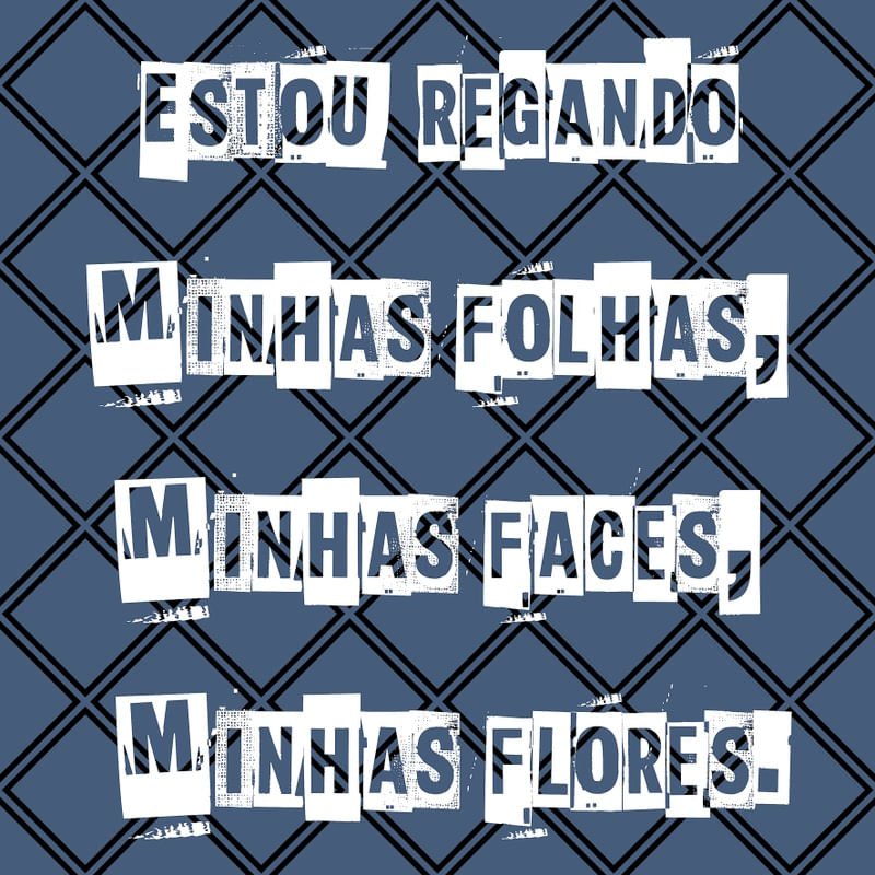 ESTOU REGANDO...