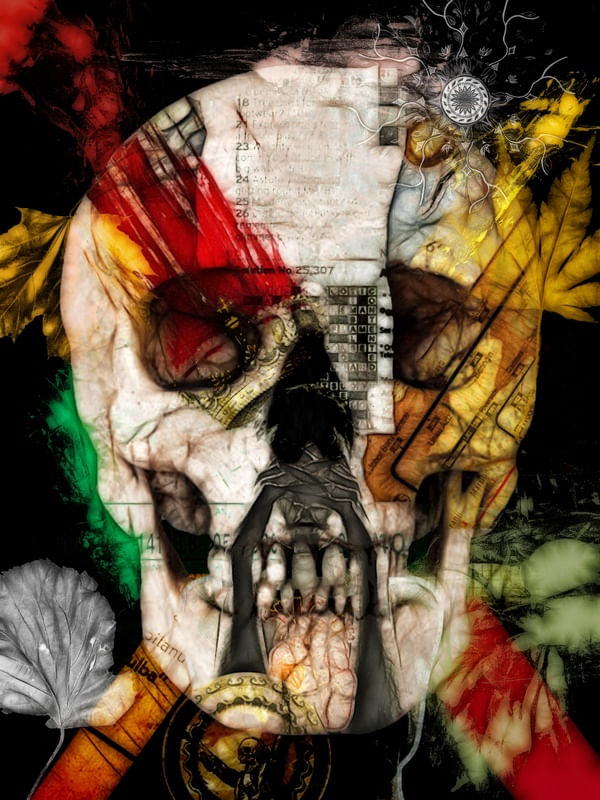 THE SKULL OF FORTUNE