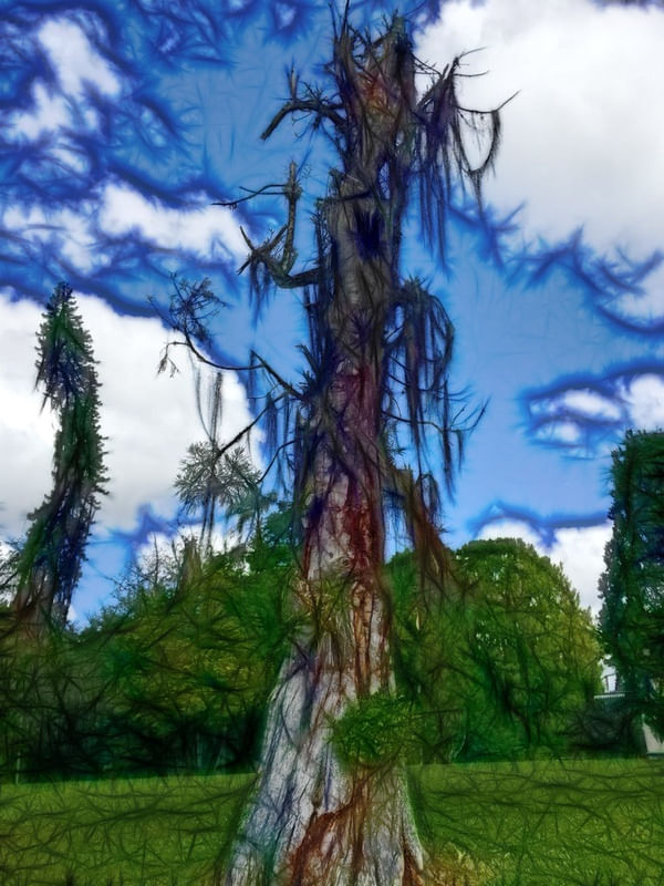 TREE OF EXISTENCE