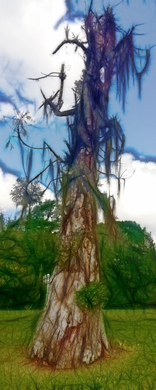 TREE OF EXISTENCE II