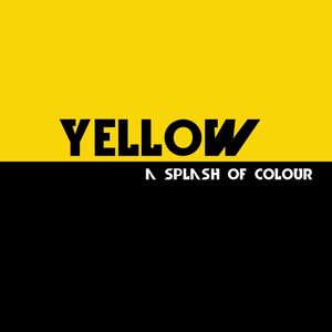 YELLOW - A SPLASH OF COLOUR II