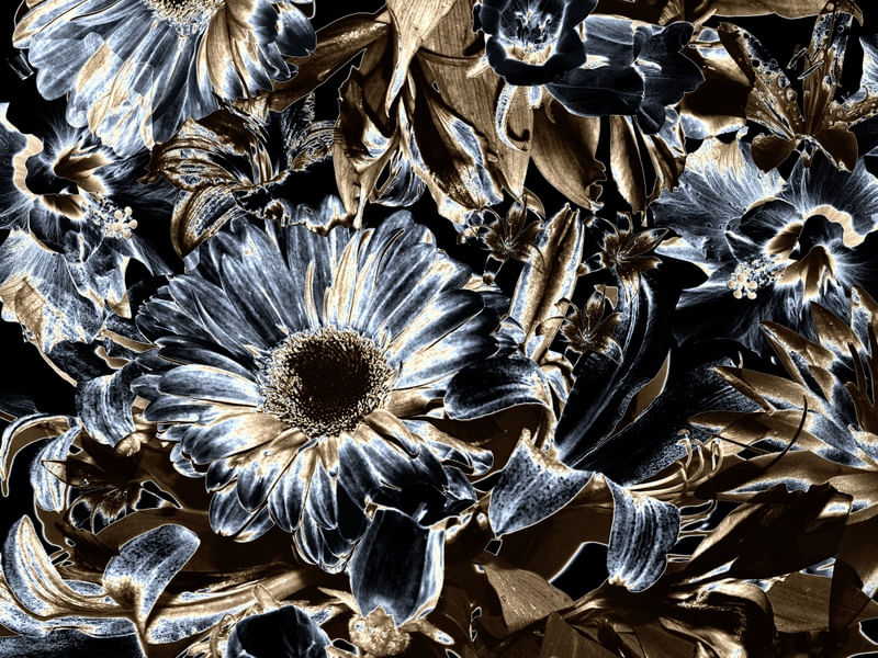FLORES E FOLHAS PELO CHÃO II