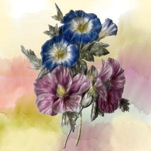 FLOR QUE TE QUERO