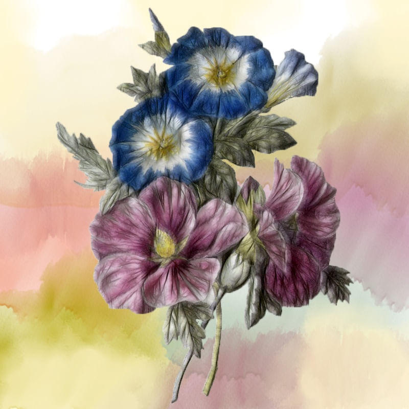 FLOR QUE TE QUERO