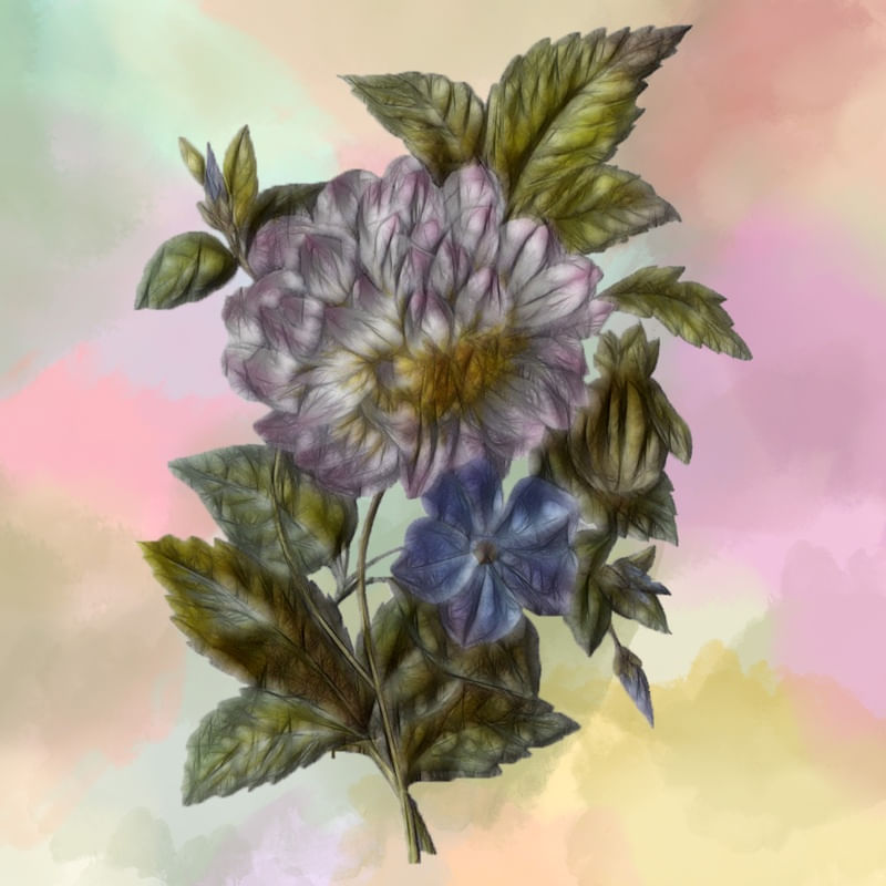 FLOR QUE TE QUERO V
