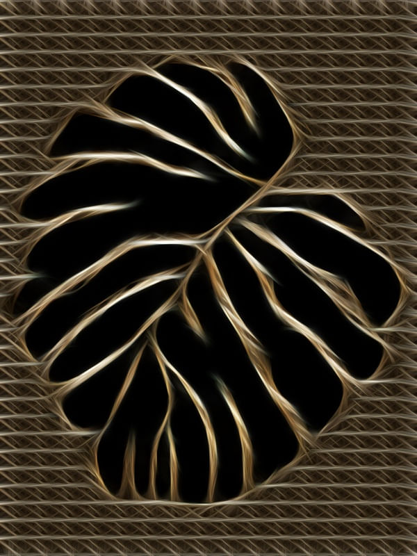 MONSTERA NEGRA