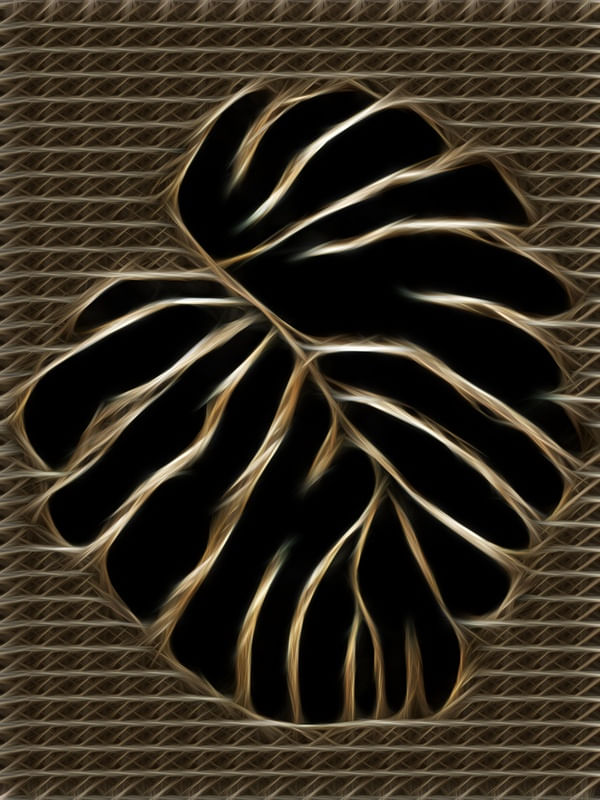 MONSTERA NEGRA II