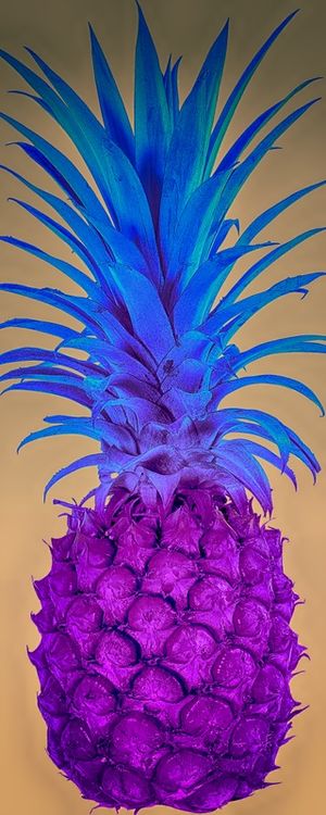 ABACAXI ROSA E AZUL