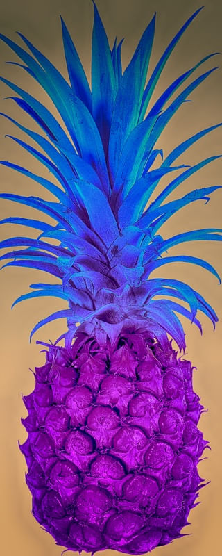 ABACAXI ROSA E AZUL