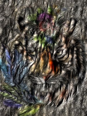 OLHOS DE TIGRE