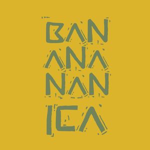 BAN ANA NAN ICA