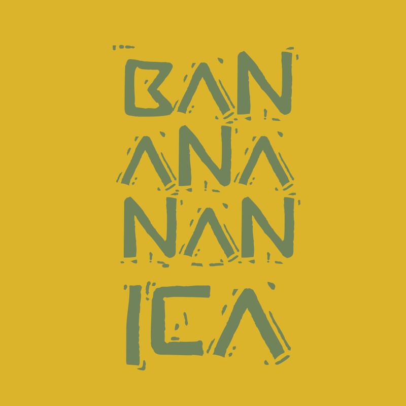 BAN ANA NAN ICA