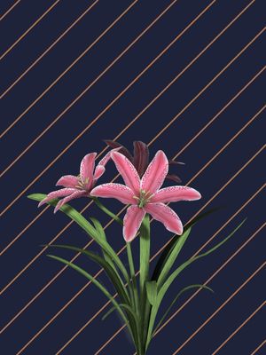 LISTRAS E FLORES IV