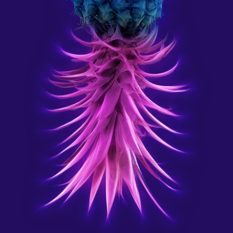 ABACAXI ROSA E AZUL COM FUNDO ROXO II