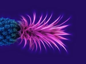ABACAXI ROSA E AZUL COM FUNDO ROXO IV