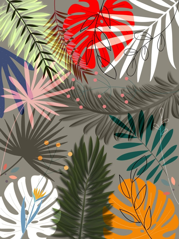 TROPICAL CS 06