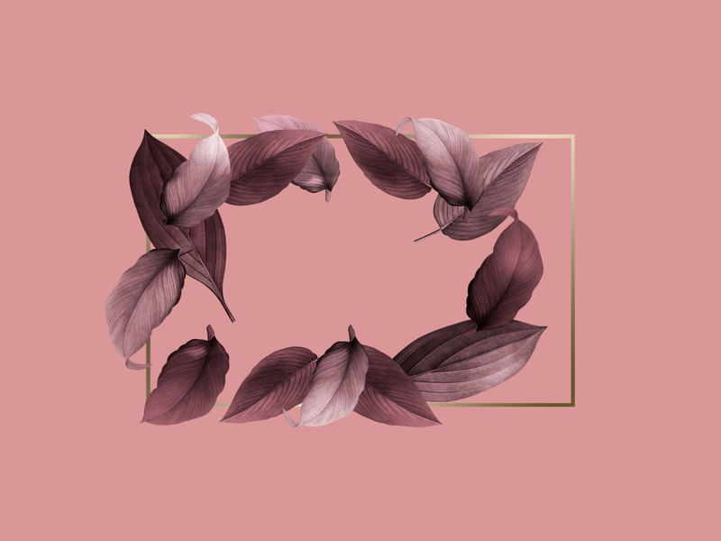 FOLHAS E OURO EM ROSÉ