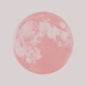 LUA NOVA ROSÉ