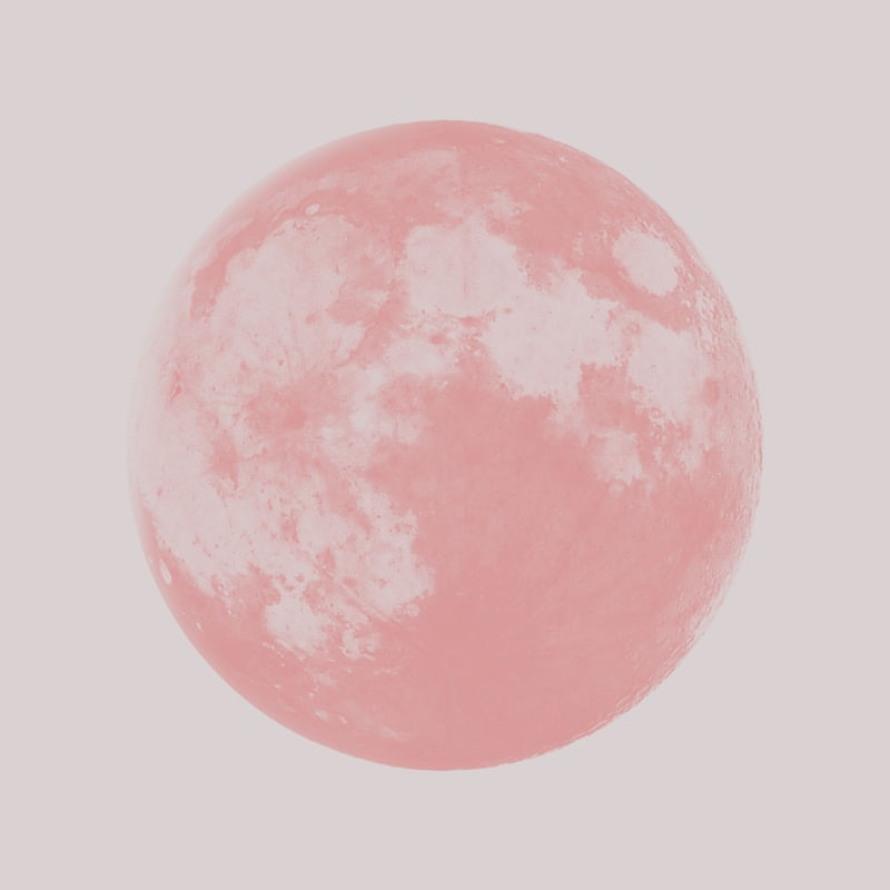 LUA NOVA ROSÉ