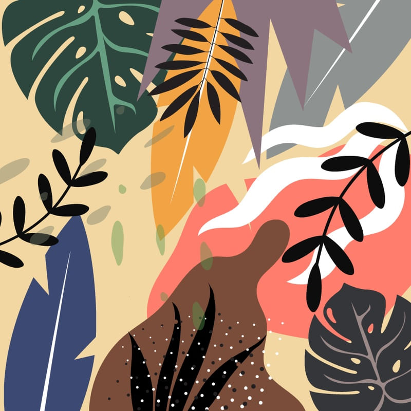 TROPICAL C S