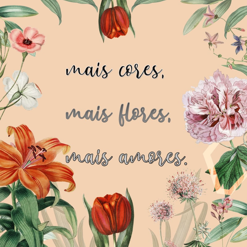 MAIS CORES, MAIS FLORES, MAIS AMORES.