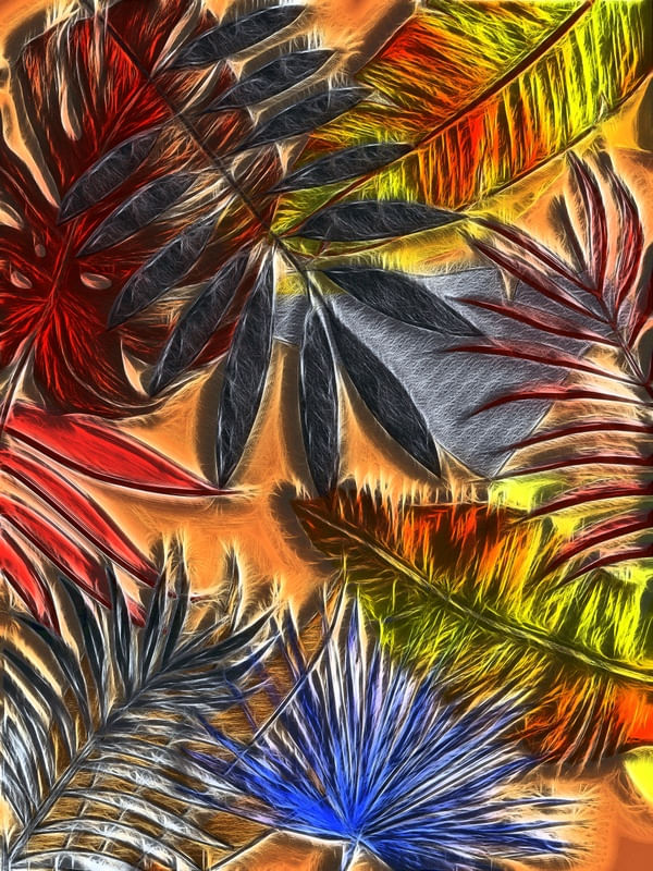 TROPICAL COLORS
