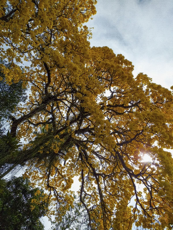 #NATUREZA132
