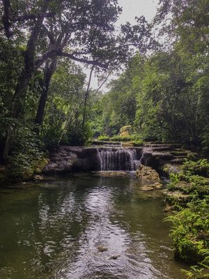 #NATUREZA138