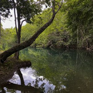 #NATUREZA151