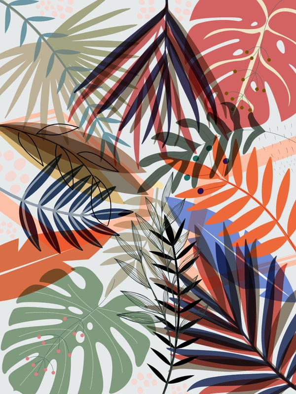 TROPICAL CS 07