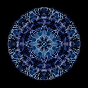 MANDALA NOVA ERA C.S. II