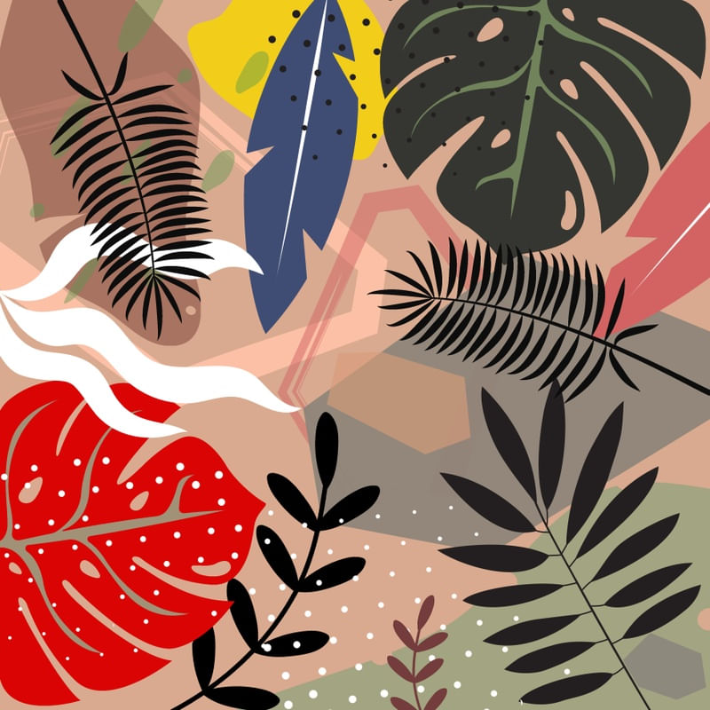 TROPICAL CS III