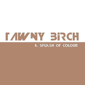 TAWNY BIRCH - A SPLASH OF COLOUR