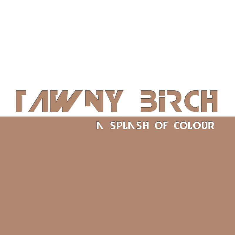 TAWNY BIRCH - A SPLASH OF COLOUR