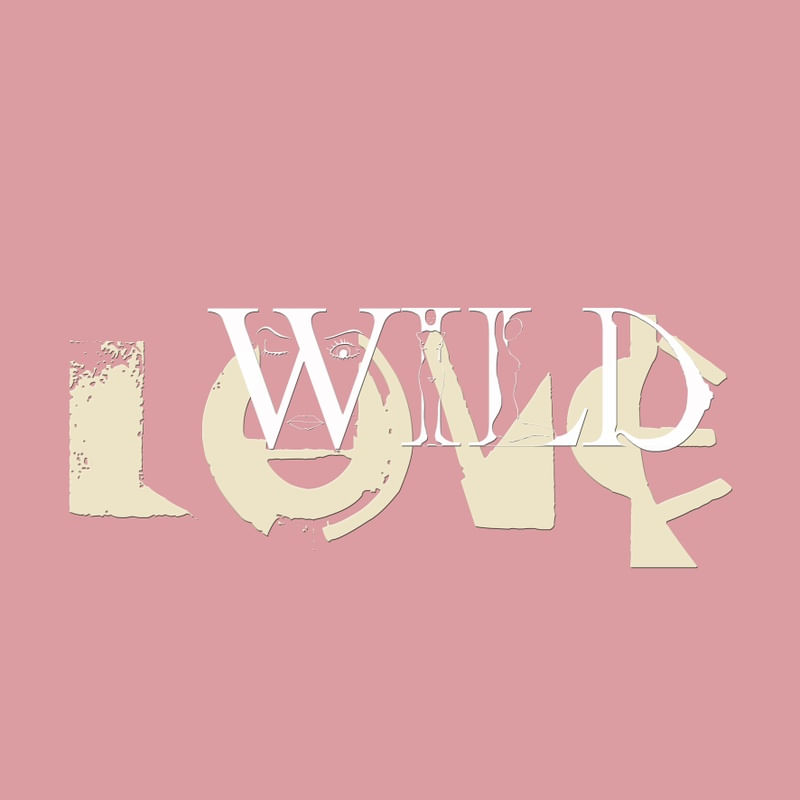 WILD LOVE CS