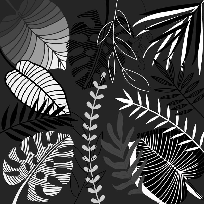 TROPICAL P&B 01