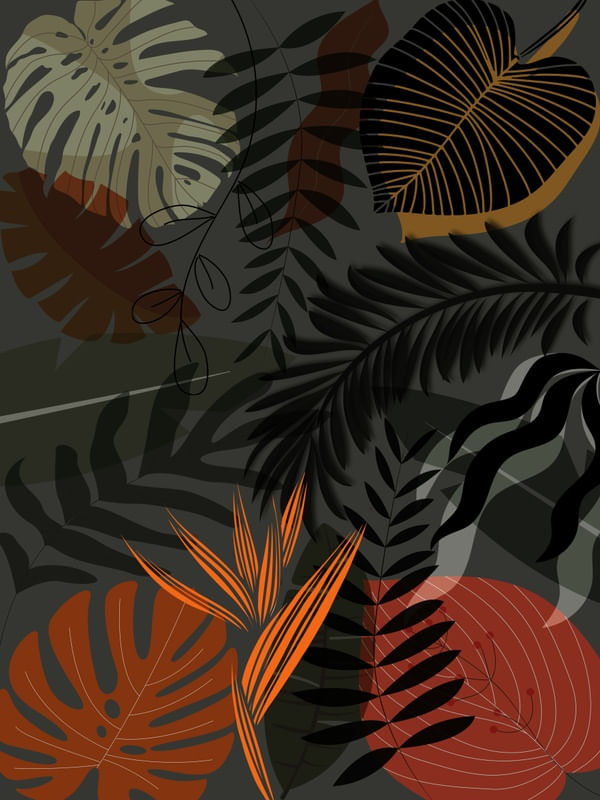 TROPICAL CS 12