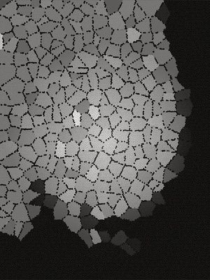 #GEOMÉTRICOS51