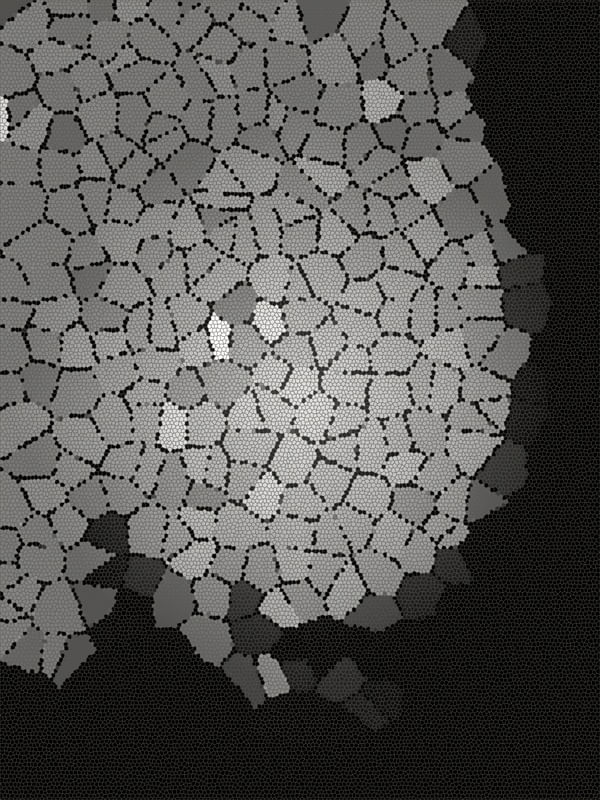 #GEOMÉTRICOS51
