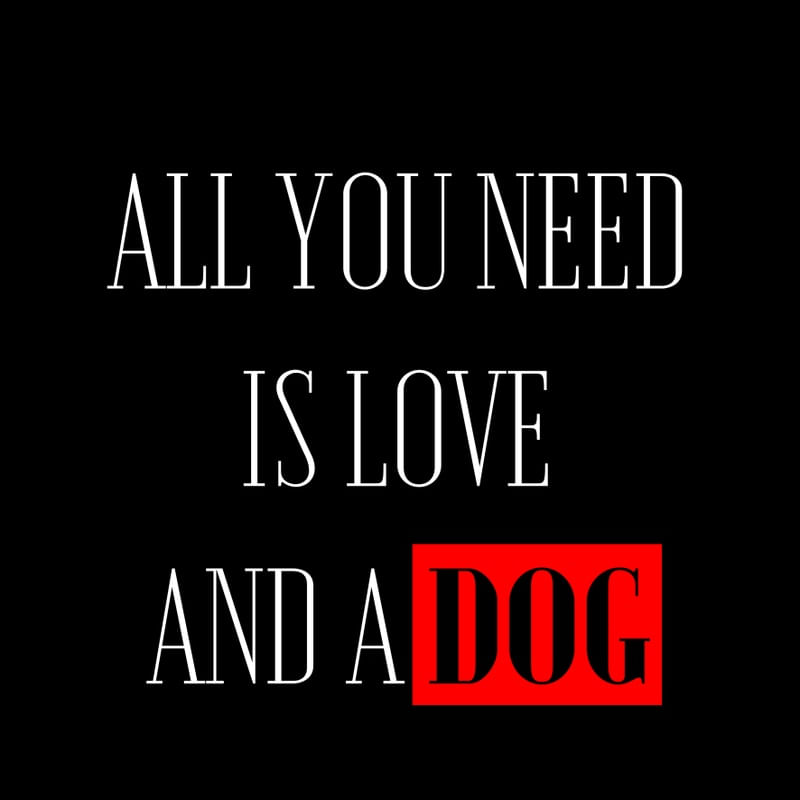 ALL YOU NEED IS LOVE AND A DOG! BLACK