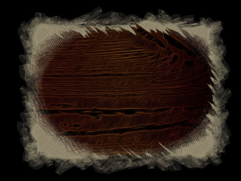#ABSTRATOS61