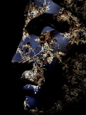 DREAMING IN BLUE AND GOLD