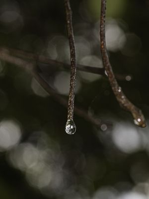 GOTAS DE VIDA